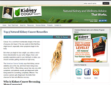 Tablet Screenshot of kidneycoach.com